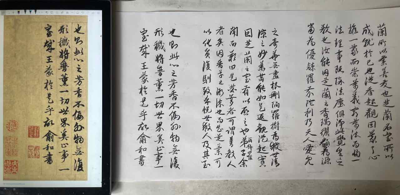 4936AE2E-DAE2-4338-A9E9-380E36C91FCD-732-0000005707EA5DC7.jpeg